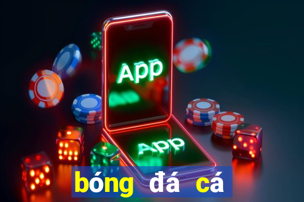 bóng đá cá cược bóng đá