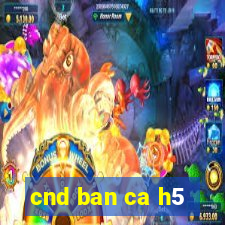 cnd ban ca h5