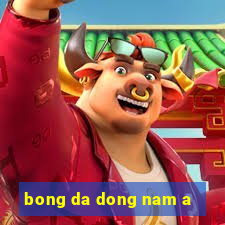 bong da dong nam a