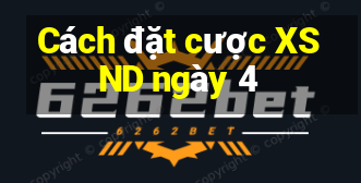 Cách đặt cược XSND ngày 4