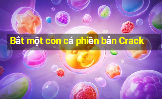 Bắt một con cá phiên bản Crack