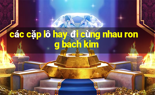 các cặp lô hay đi cùng nhau rong bach kim