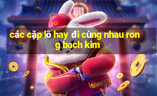 các cặp lô hay đi cùng nhau rong bach kim