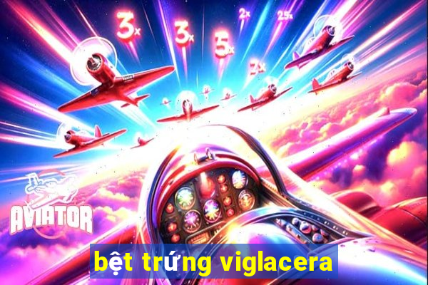 bệt trứng viglacera