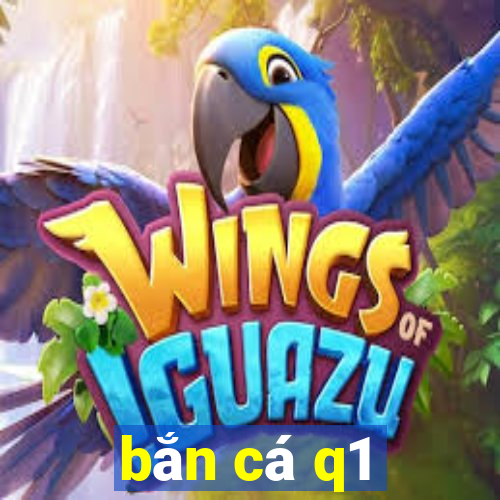 bắn cá q1