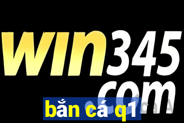 bắn cá q1