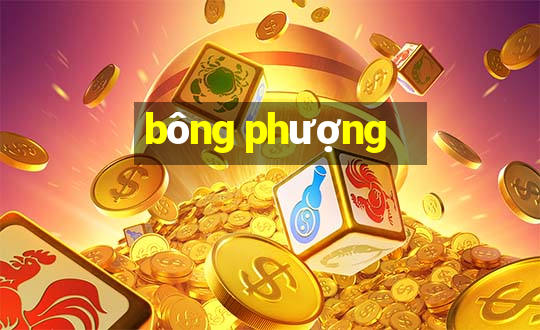 bông phượng