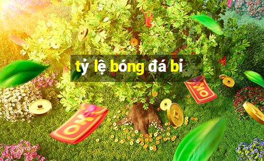 tỷ lệ bóng đá bỉ