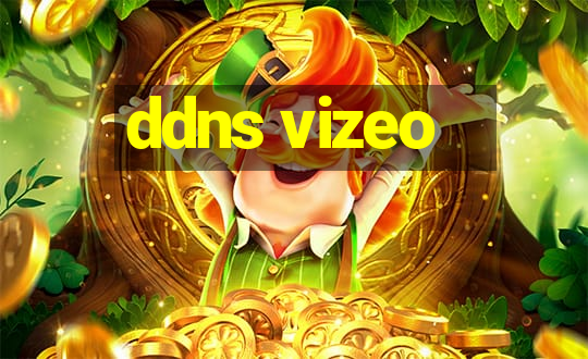 ddns vizeo