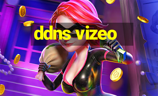 ddns vizeo