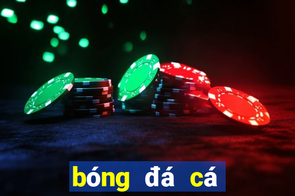 bóng đá cá cược 88