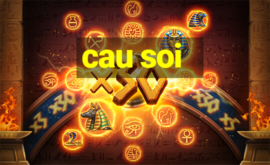 cau soi