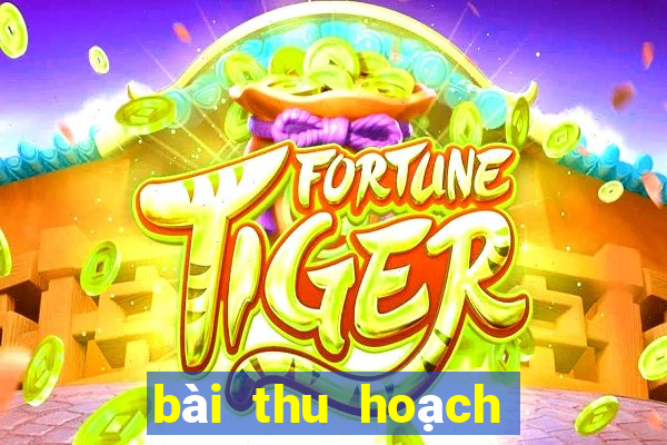 bài thu hoạch beer game