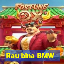 Rau bina BMW