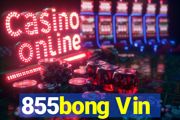 855bong Vin