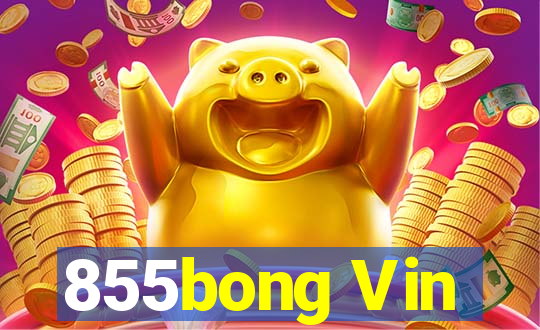 855bong Vin