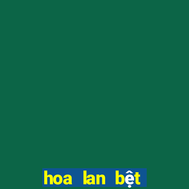 hoa lan bệt pháo bay