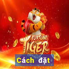 Cách đặt cược XSCM Thứ 3