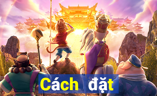 Cách đặt cược XSCT ngày 19