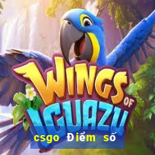 csgo Điểm số trang web