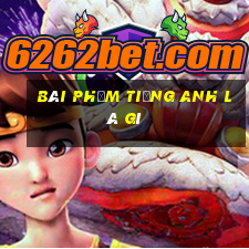 Bài phỏm tiếng Anh là gì