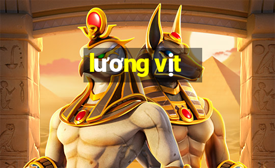 lương vịt