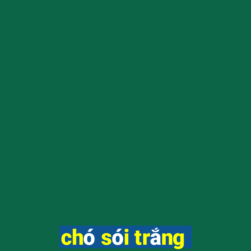 chó sói trắng