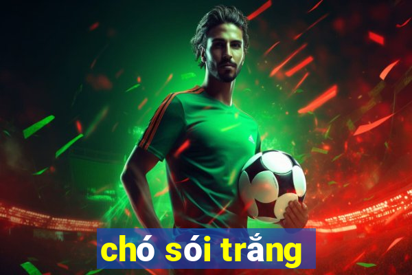 chó sói trắng