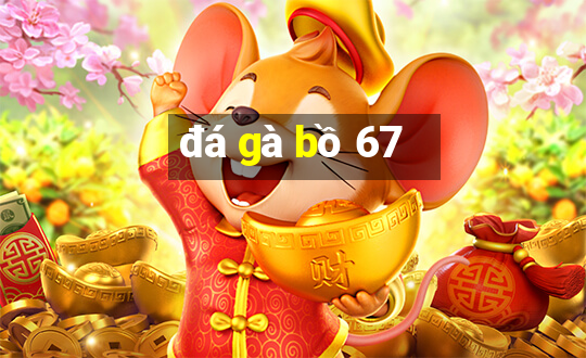 đá gà bồ 67