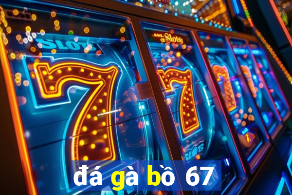 đá gà bồ 67