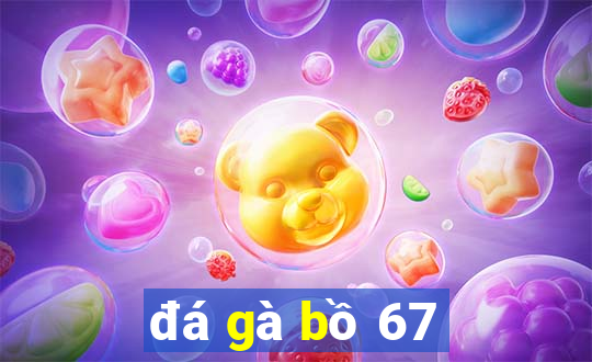 đá gà bồ 67