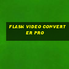 flash video converter pro