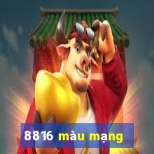 8816 màu mạng