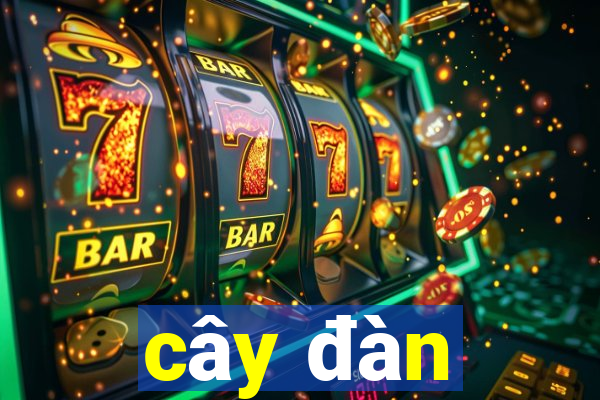 cây đàn