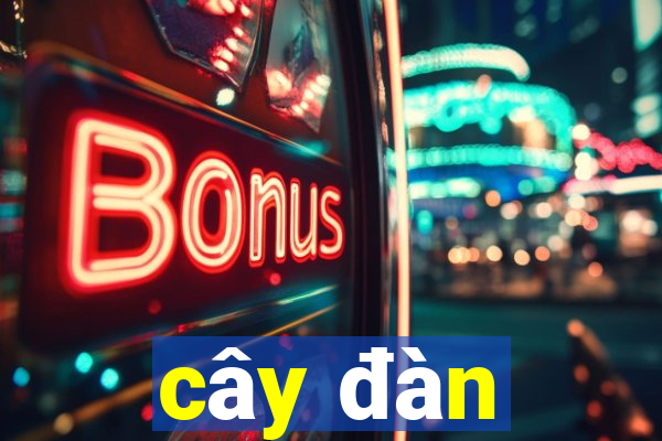 cây đàn