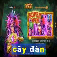 cây đàn