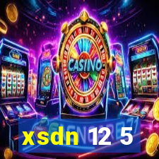 xsdn 12 5