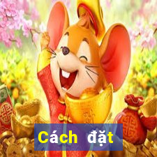 Cách đặt cược XSHG ngày 8