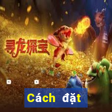 Cách đặt cược XSHN ngày 31