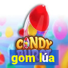 gom lúa