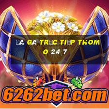 đá gà trực tiếp thomo 24 7