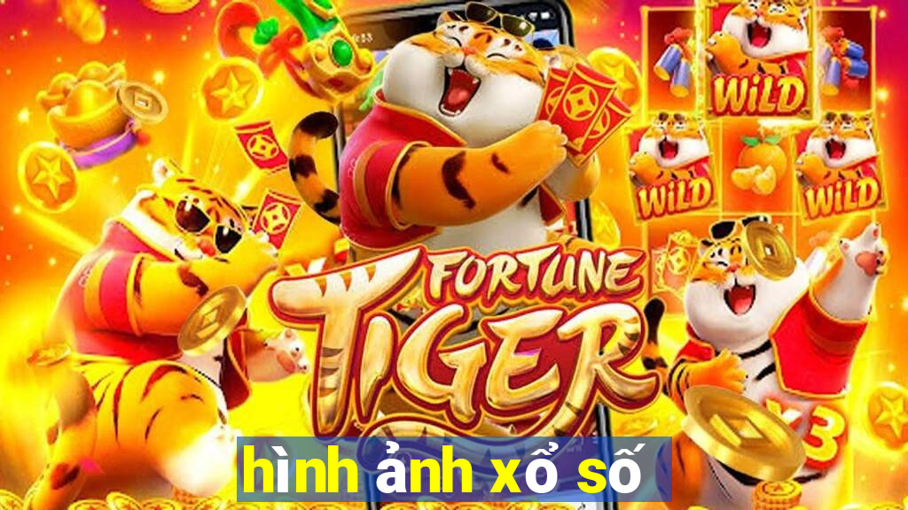 hình ảnh xổ số