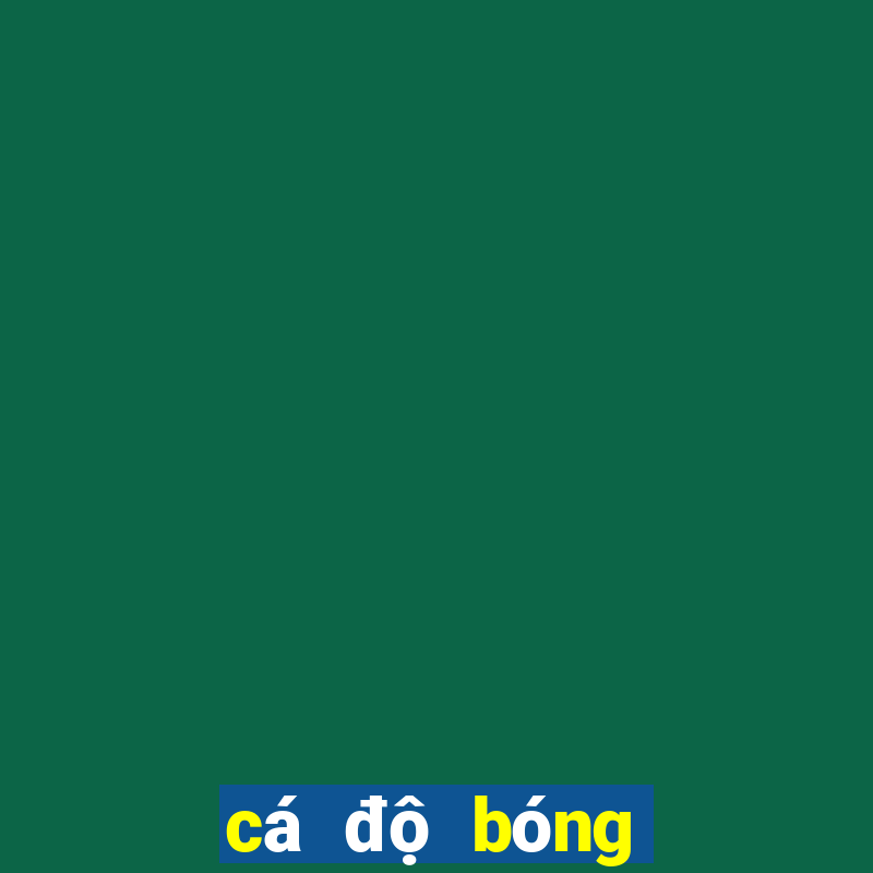 cá độ bóng đá hôm nay