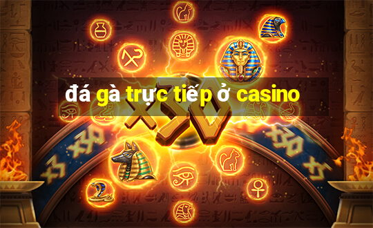 đá gà trực tiếp ở casino