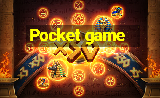 Pocket game