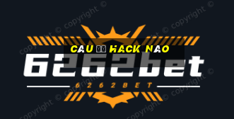 câu đố hack não