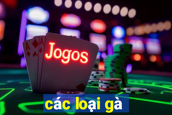 các loại gà