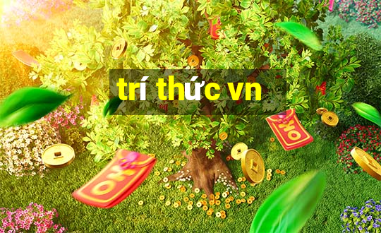 trí thức vn