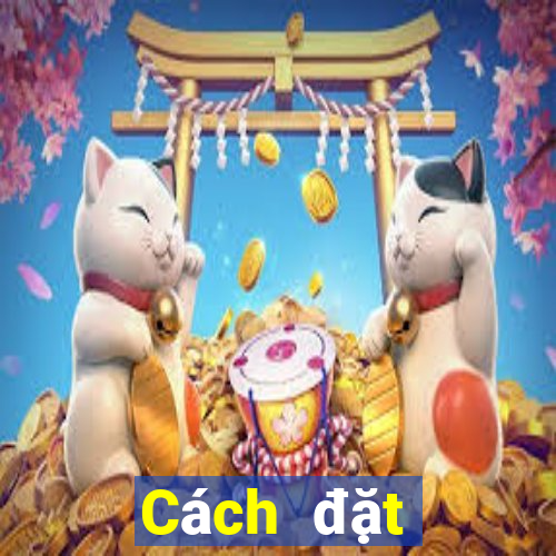 Cách đặt cược XS Mega 6 45 thứ hai