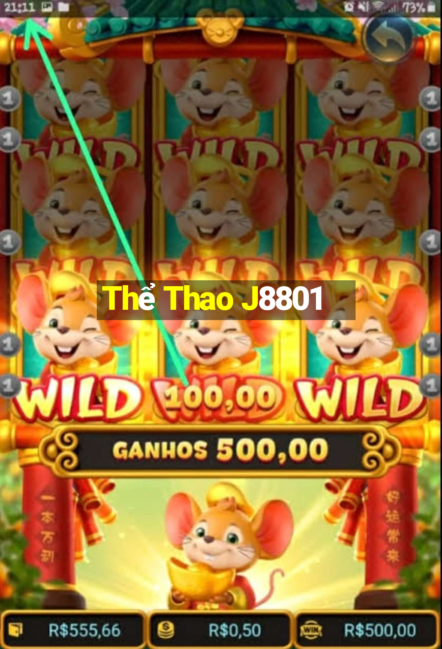 Thể Thao J8801